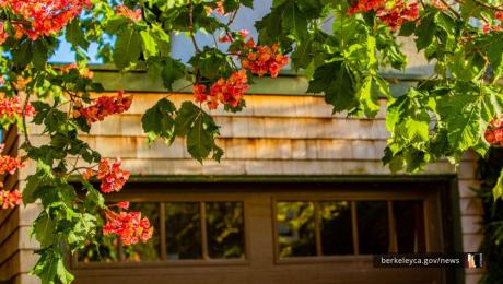 Brown shingled home with garage door, framed by orange flowers